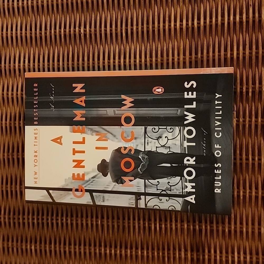 A Gentleman in Moscow by Amor Towels NWOT